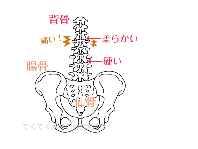腰椎